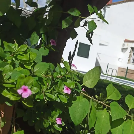 Vakantiehuis Casa Turquesa Valencina de la Concepción